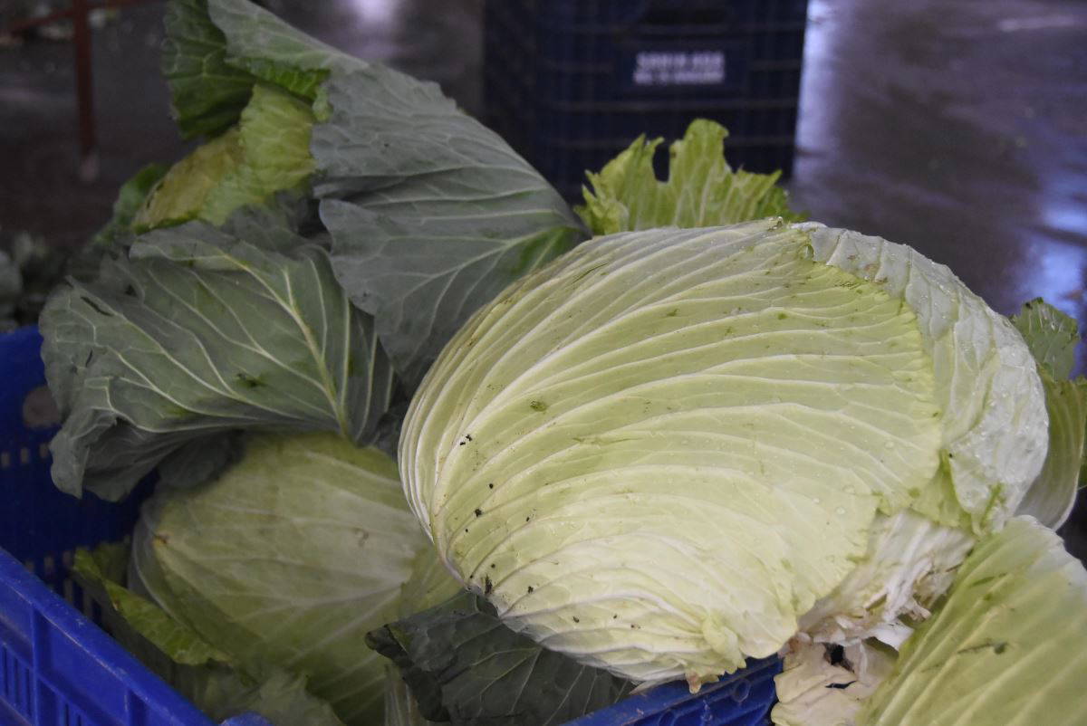 Çok suya ihtiyaç duymadan yetiştirebileceğiniz 7 sebze!